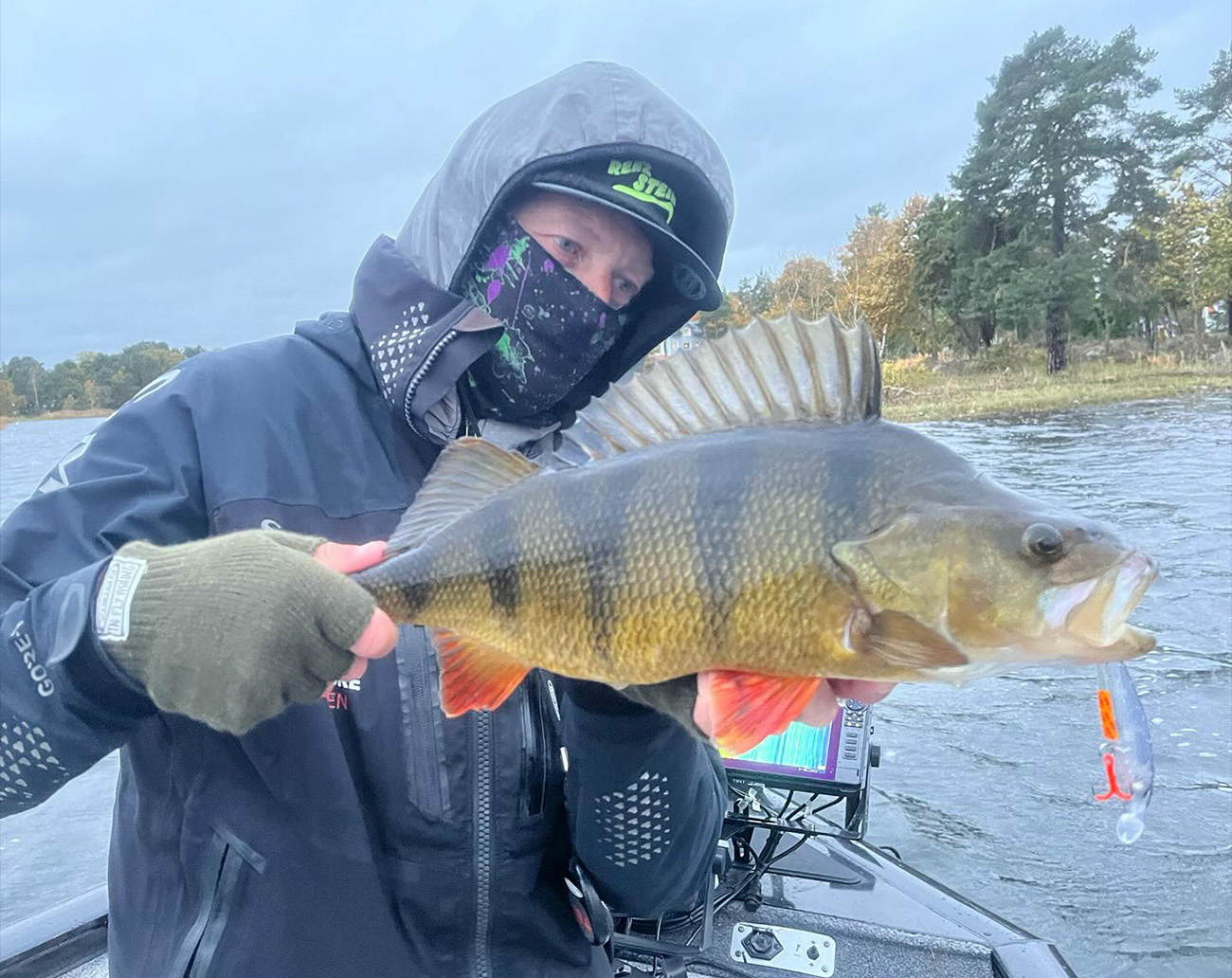 RenzStein Beastly Minnow